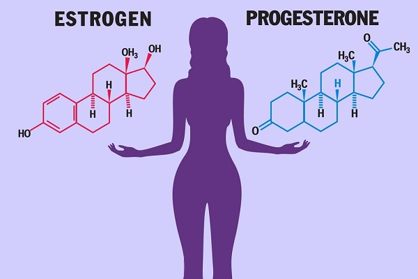 Nội tiết tố nữ có hai loại chính là estrogen và progesterone