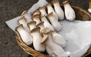 Giúp mẹ bầu tăng cường sức khỏe và hỗ trợ sự phát triển của thai nhi.